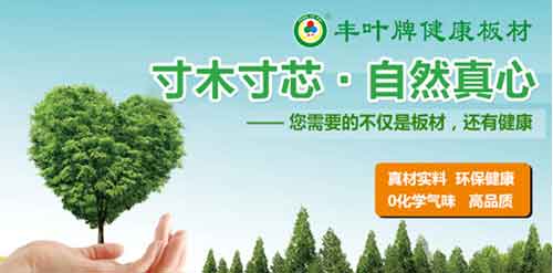 豐葉板材品牌，釋放健康新力量