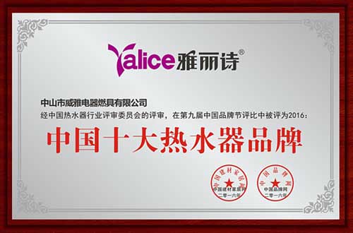 十余載砥礪風(fēng)雨路 雅麗詩鑄造輝煌