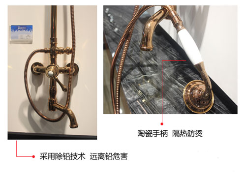產(chǎn)品測評：賽唯雅（SAVOIA）大淋浴花灑SF813309