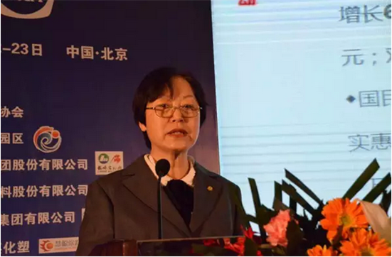 中國(guó)涂料工業(yè)協(xié)會(huì)會(huì)長(zhǎng)孫蓮英女士作主題報(bào)告