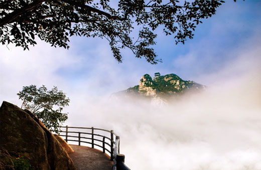 勇登沂山最巔峰，一展王者大雄風