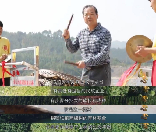 匠心故事：偉業(yè)牌板材關(guān)于深山里的香杉夢