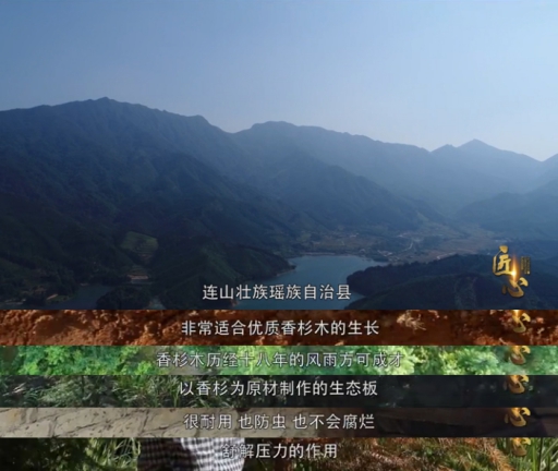 匠心故事：偉業(yè)牌板材關(guān)于深山里的香杉夢