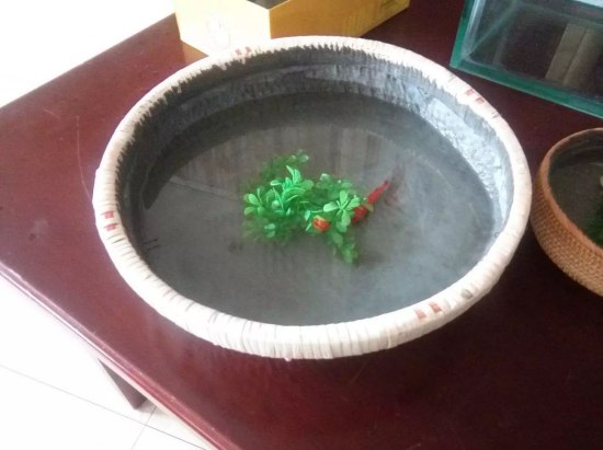 防水博士“博士標(biāo)準(zhǔn)”選材與施工分享會(huì)盛大舉行