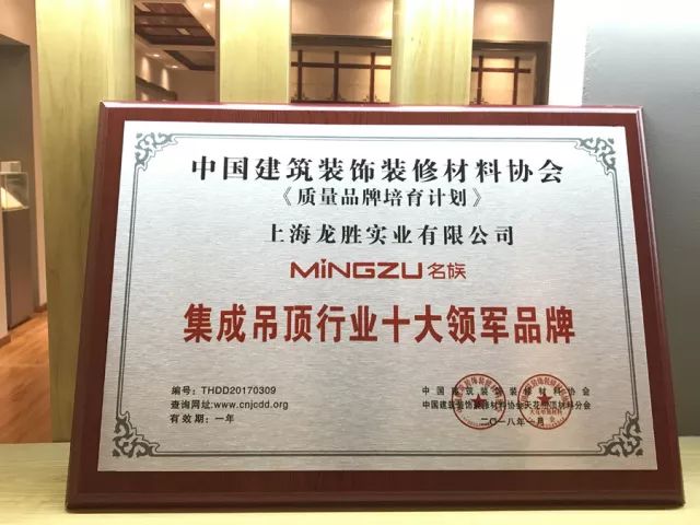 吊頂品牌榮譽|名族獲集成吊頂行業(yè)十大領軍品牌等多項大獎