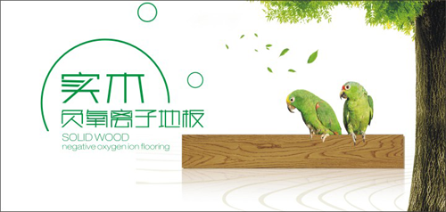 品牌產(chǎn)品|天科負(fù)離子地板，把山中氧氣帶回家