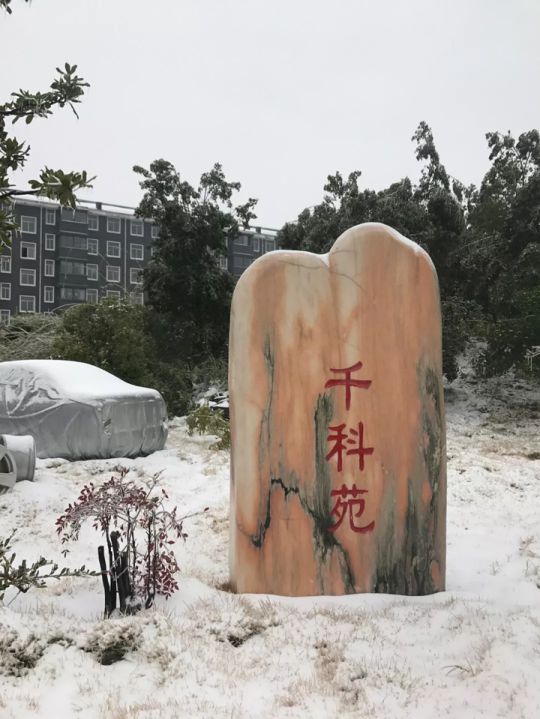 千科潘遠(yuǎn)宏：智能產(chǎn)品、智慧營(yíng)銷一手抓，智能終端是品牌最后浪潮