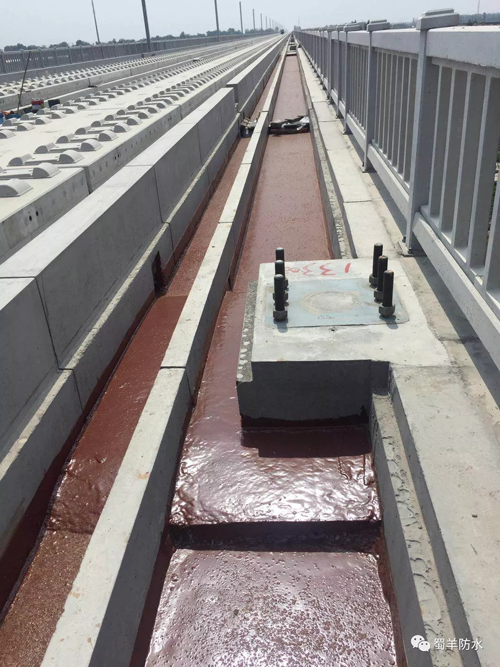 品牌案例|蜀羊防水為城市建設(shè)品質(zhì)助力，領(lǐng)跑城市發(fā)展