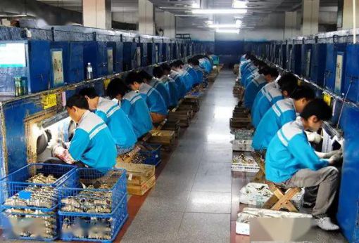 品牌招商|輝煌廚衛(wèi)7大優(yōu)勢，帶你快速掘金!