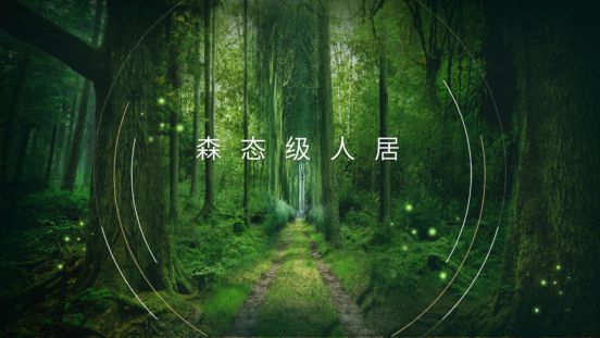 華洲木業(yè)新品——維他康氧板應“疫”來襲，打造森態(tài)生活