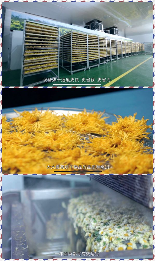 品牌發(fā)展|24年品牌積淀，舒量打造行業(yè)空氣能烘干產(chǎn)品領(lǐng)導(dǎo)者