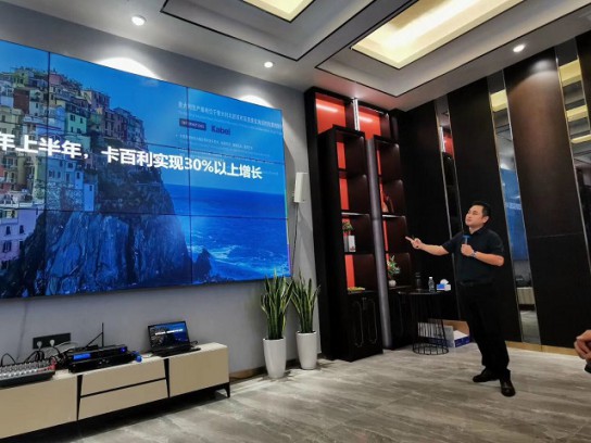 2020上半年，卡百利藝術(shù)涂料實現(xiàn)30%以上增長 