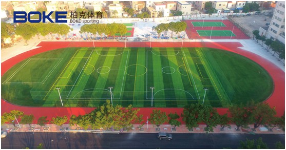 柏克體育：不斷追求卓越，品質鑄就品牌