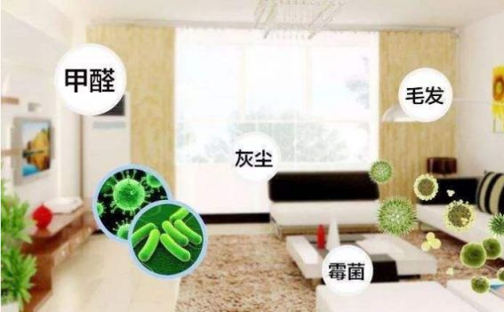 德國精工·諾森柏格是一個專注、專業(yè)的家用空氣凈化器品牌
