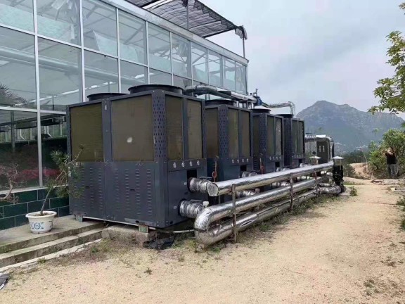 岳西大觀園12000㎡花卉大棚采用格美粵空氣源熱泵，三年無故障運(yùn)行