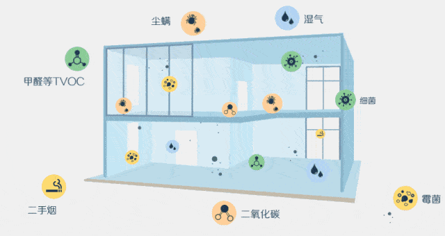 家里空氣凈化器效果越來(lái)越差？圣德芬覺(jué)得你方法不對(duì)！