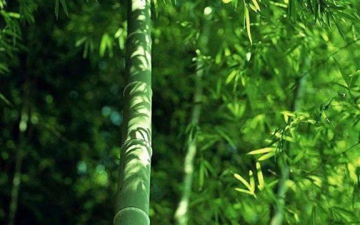 1+N模式，一起來探討人文藝術(shù)瓷磚的原創(chuàng)密碼！