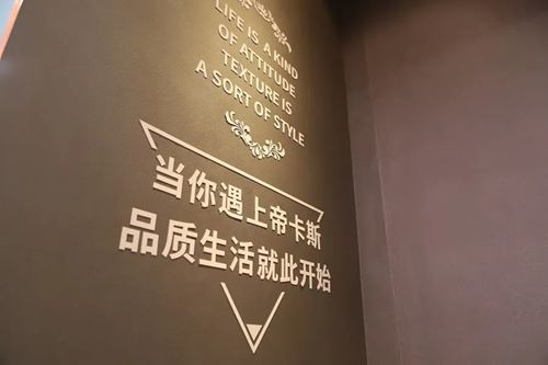 【2020廣州建博會(huì)】帝卡斯藝術(shù)漆獨(dú)領(lǐng)風(fēng)騷 展館人氣爆棚！