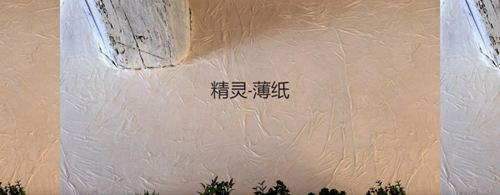 森尼迪克藝術(shù)涂料攜帶150年的浪漫品牌，來(lái)到中國(guó)誠(chéng)招加盟