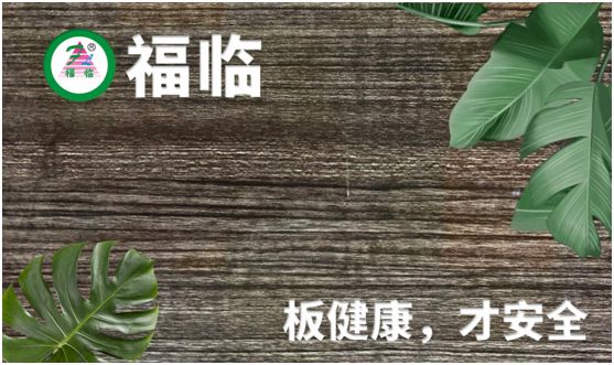 福臨板材：專注健康綠色家裝，造就生活不凡品味