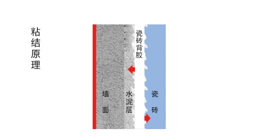 瓷磚背膠粘與不粘，不能作為產(chǎn)品好壞及產(chǎn)品質(zhì)量的依據(jù)