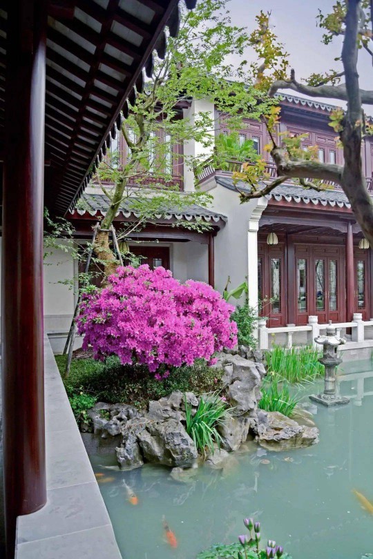 方寸之間，盡顯風(fēng)華！三宅門窗自成詩(shī)畫意境