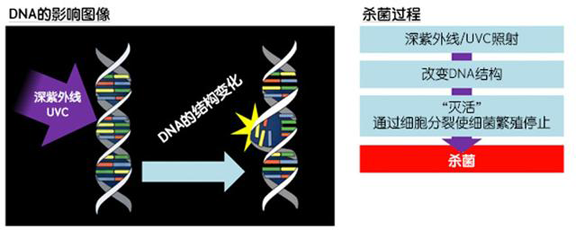 消費(fèi)者開(kāi)始關(guān)注到車(chē)載空氣凈化器，原來(lái)如此重要