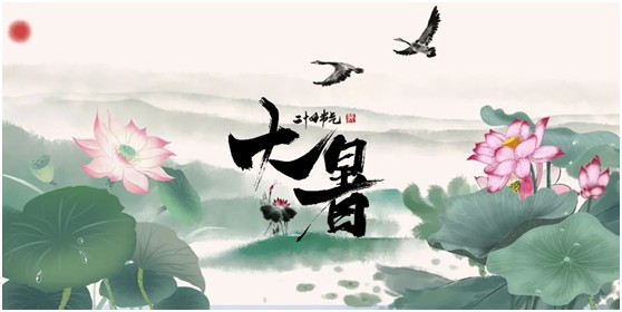 【大暑】將軍板材：炎炎夏日，一份家居清涼指南請查收